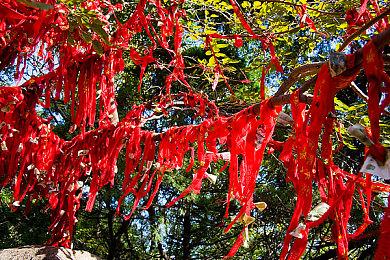 暴雪：《暗黑破坏神：不朽》是系列历史上最大首发