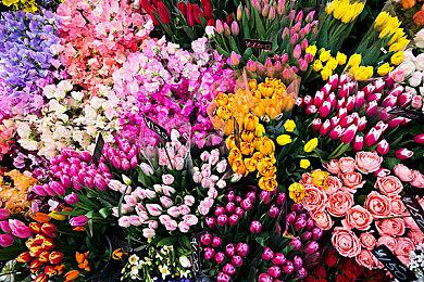 轻Rogue游戏《梅林之手》6月14日登陆各大平台